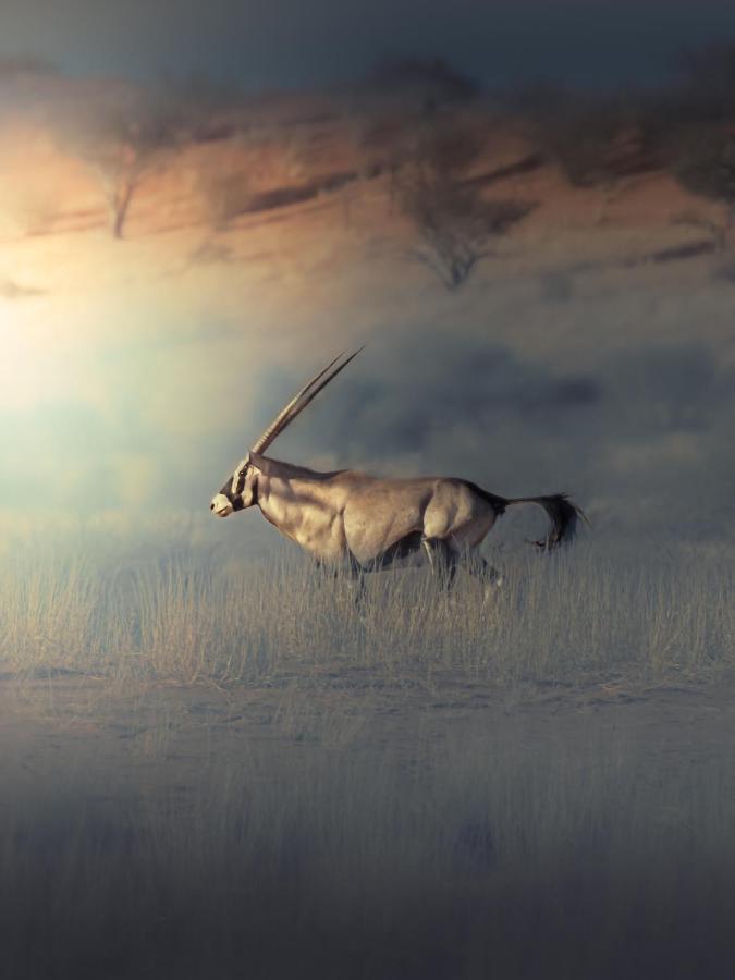 Вілла Bagatelle Kalahari Game Ranch Hardap Екстер'єр фото