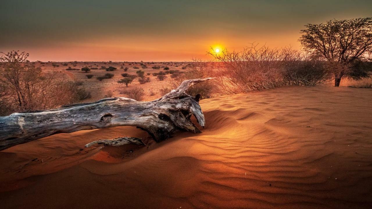 Вілла Bagatelle Kalahari Game Ranch Hardap Екстер'єр фото