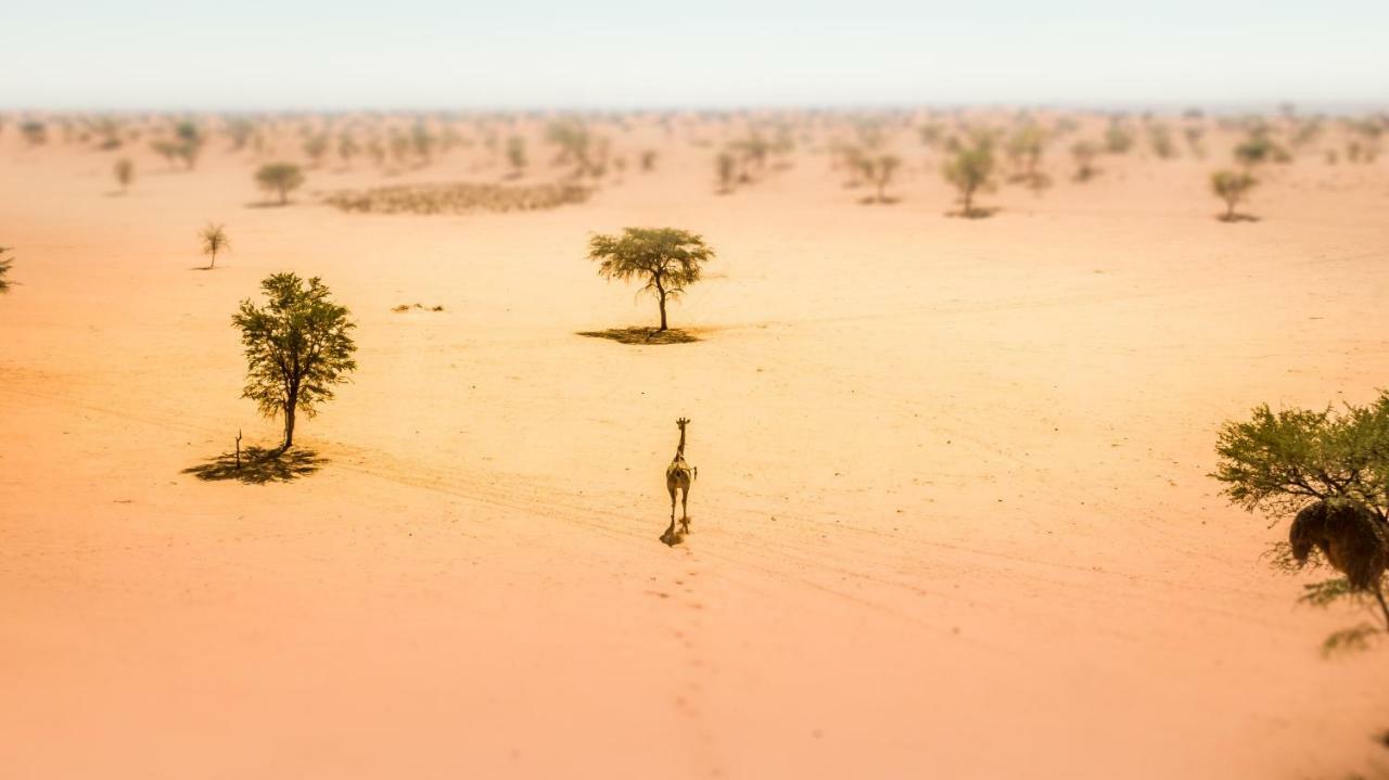 Вілла Bagatelle Kalahari Game Ranch Hardap Екстер'єр фото