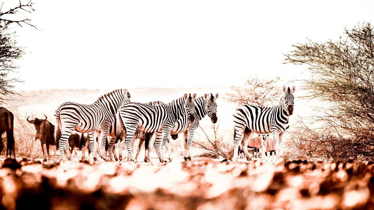 Вілла Bagatelle Kalahari Game Ranch Hardap Екстер'єр фото