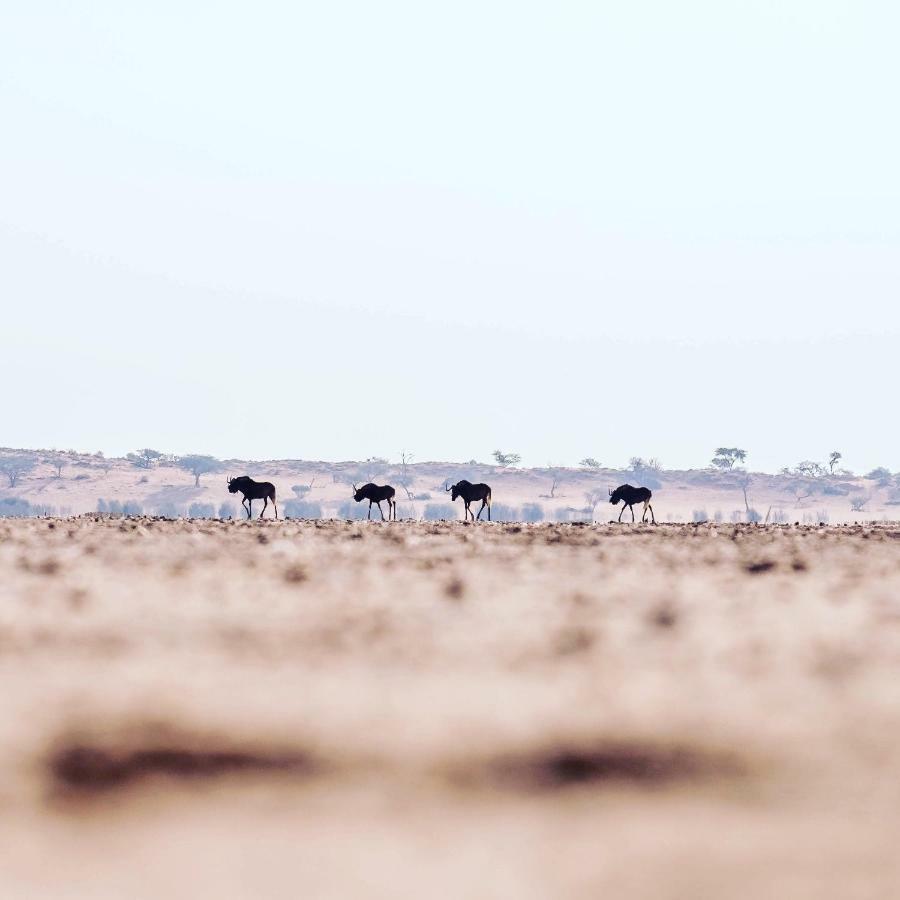 Вілла Bagatelle Kalahari Game Ranch Hardap Екстер'єр фото