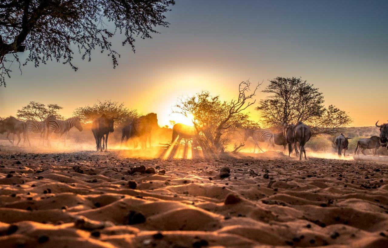 Вілла Bagatelle Kalahari Game Ranch Hardap Екстер'єр фото