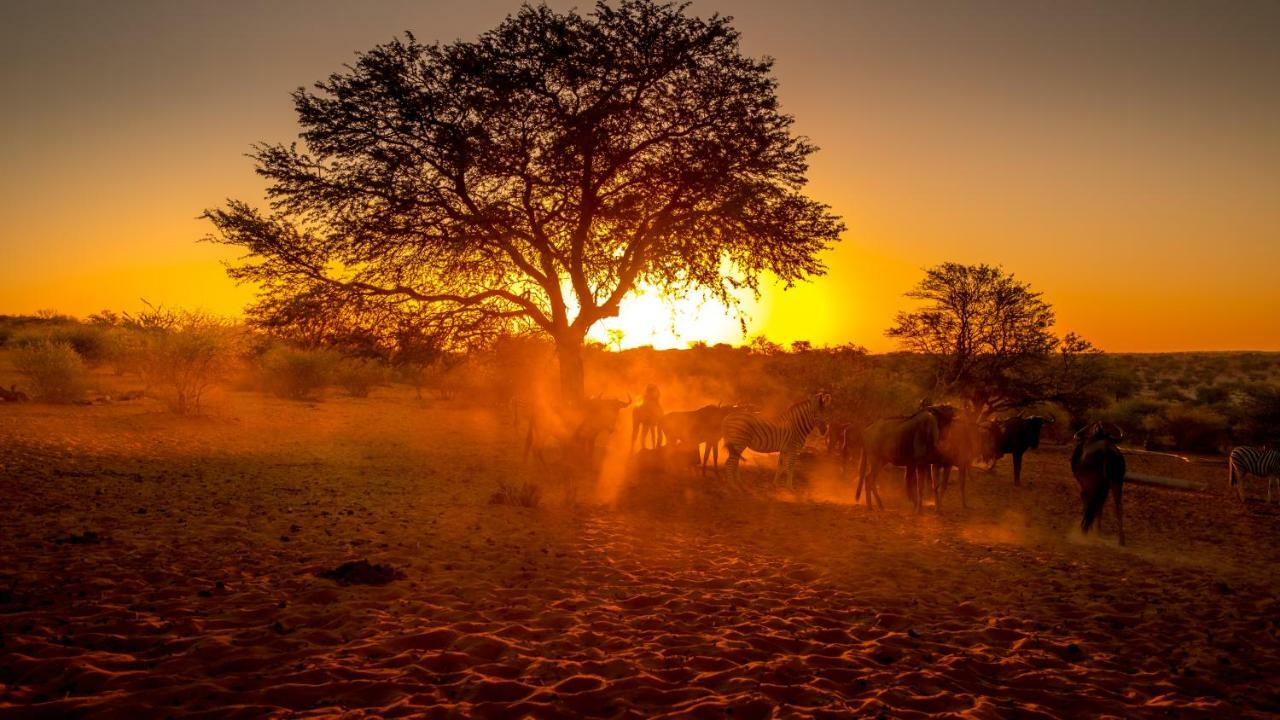 Вілла Bagatelle Kalahari Game Ranch Hardap Екстер'єр фото