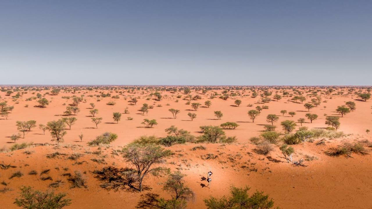 Вілла Bagatelle Kalahari Game Ranch Hardap Екстер'єр фото