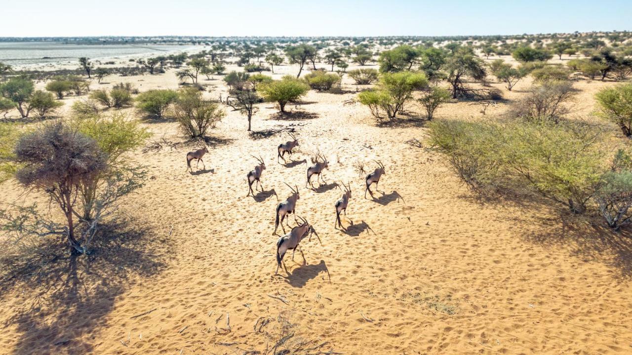 Вілла Bagatelle Kalahari Game Ranch Hardap Екстер'єр фото